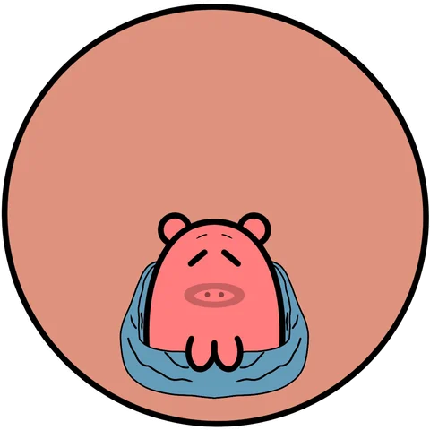 Blanket Pig